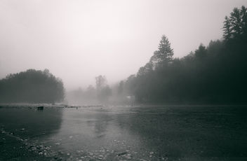 A Foggy Morning - image gratuit #388581